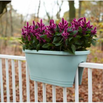 Petals & Pots – Seasonal Spring Beauty